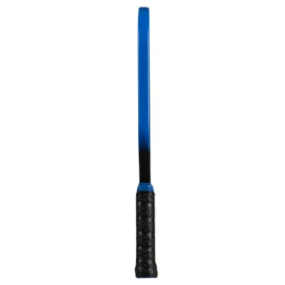 Onix Lucent RC pickleballbat